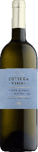 Trentino Bottega Vinai Pinot Grigio